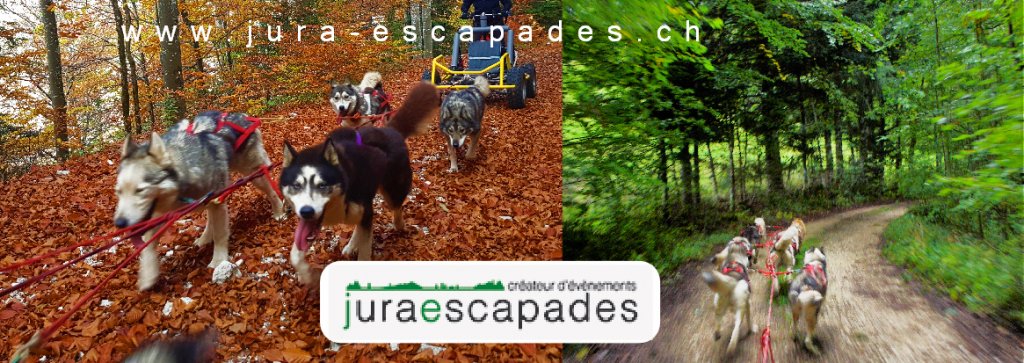 CHIENS DE TRAÎNEAU - jura-escapades.ch